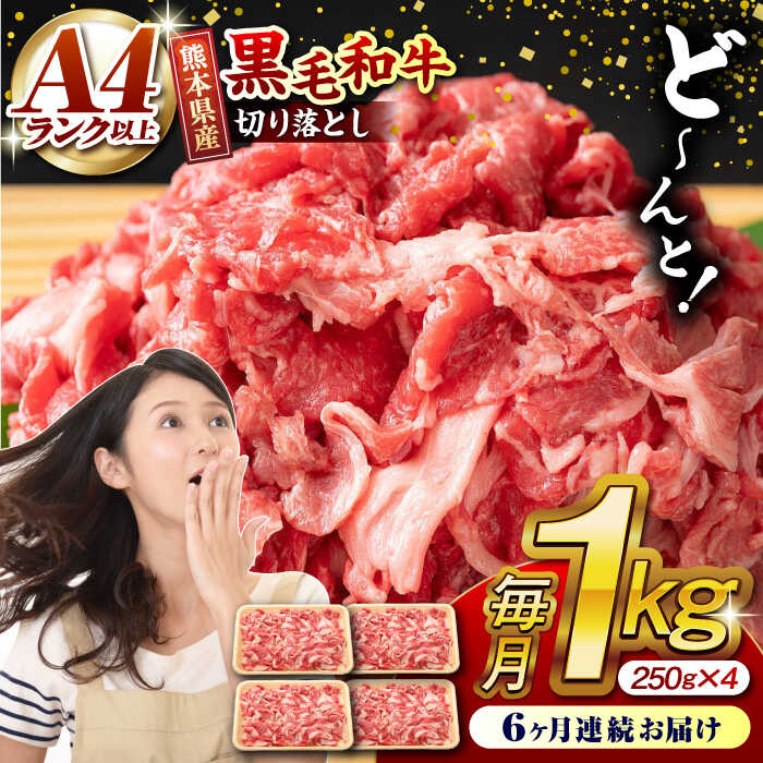 【ふるさと納税】【6回定期便】熊本県産 黒毛和牛 切り落とし 計約1kg (約250g×4P) 牛肉 切り落とし 国産 和牛 ブランド牛 A4ランク以上 A4 A5 小分け 冷凍 肉 牛こま こま肉 肉じゃが 炒め物 九州産 熊本産 山鹿市 送料無料 定期便【有限会社九州食肉産業】[ZDQ033]