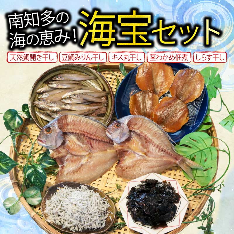 【ふるさと納税】 南知多の海の恵み 海宝セット 天然鯛 開き干し 豆鯛 みりん干し キス 丸干し 茎わかめ 佃煮 しらす干し 鯛 たい 干物 お米 にあう 愛知県 南知多町