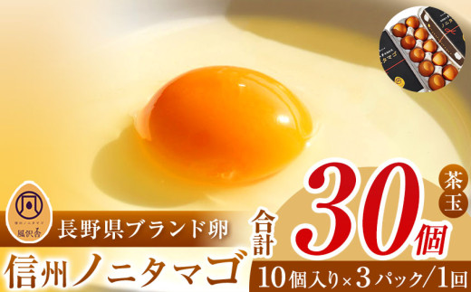 信州ノニタマゴ　茶玉３０個  | 卵 鶏卵 たまご タマゴ ノニタマゴ 長野県 松本市 信州産 信州 ふるさと納税