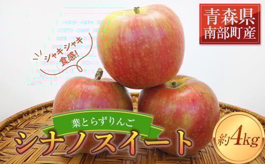 《家庭用》 葉とらずりんご シナノスイート 約4kg 【四戸農園】 減農薬 有機肥料 青森りんご リンゴ 林檎 アップル あおもり 青森 青森県 南部町 果物 くだもの フルーツ 訳あり 訳アリ わけあり 規格外  3kg 以上 F21U-358