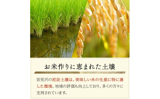 令和7年産 北海道岩見沢市産 おぼろづき玄米10kg ≪沖縄・離島配送不可≫