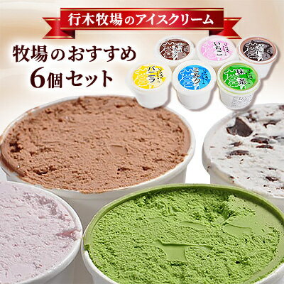 【ふるさと納税】【行木牧場のアイスクリーム】牧場おすすめ6個セット「しぼりたて牛乳で作りました」【配送不可地域：離島】【1491605】