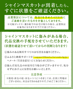 【定期便】新鮮産直！甲州市・シャインマスカット2回定期便【2025年発送】（KSF）B16-125 【シャインマスカット 葡萄 ぶどう ブドウ 令和7年発送 期間限定 山梨県産 甲州市 フルーツ 果物
