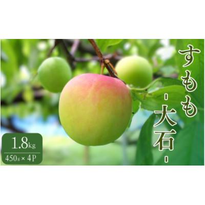 ふるさと納税 田辺市 先行予約 すもも(大石)1.8kg(450g×4P) ※5月下旬〜順次発送予定【mtm006-2】