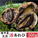 【ふるさと納税】種市産天然活あわび 4～5個程度(約500g) 冷蔵 鮑 お刺身 ステーキ 産地直送