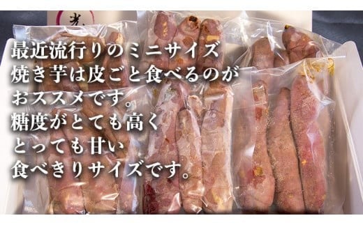 茨城県産 ミニ 焼き芋 6袋 入り イモ いも さつまいも サツマイモ さつま芋 スイーツ [CO005ci]