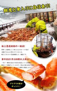 ［順次発送］ボイルずわいがに足 総重量3kg（約14肩前後）【数量限定】【甲羅組 海鮮 ズワイガニ ずわい蟹 蟹 カニ カニ足 かに脚 足 ボイル 茹でガニ カニ鍋 蟹鍋 鍋】 [024-b031]