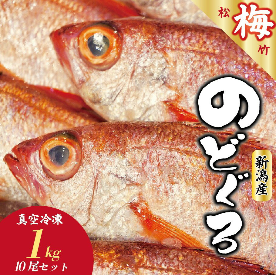 【ふるさと納税】ノドグロ 10尾 1kg以上 1尾 約100g以上 新潟 日本海産 高級魚 新鮮 真空 急速冷凍 冷凍 魚介類 日本海 新潟産 国産 松竹梅【梅】uomizushima005