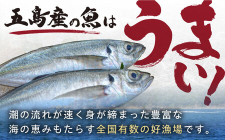 奈留の恵み(干物5種詰め合わせ) アジ キビナゴ イサキ 連子鯛 キダイ 一夜干し 長崎俵物 五島市/奈留町漁業 [PAT003]