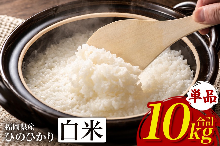 
                  【ふるさと納税】ひのひかり 米 お米 白米 10kg  10キロ 福岡県産 うきは市 国産 精米 ご飯 ごはん おにぎり お弁当 人気 おすすめ 家庭用 送料無料 新米 ストック 厳選 農家直送 大容量【JA福岡くるめ にじの耳納の里】
                