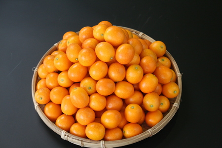 AA-C1 串間市産の完熟きんかん「たまたま」(2L・計3kg)【串間市大束農業協同組合】