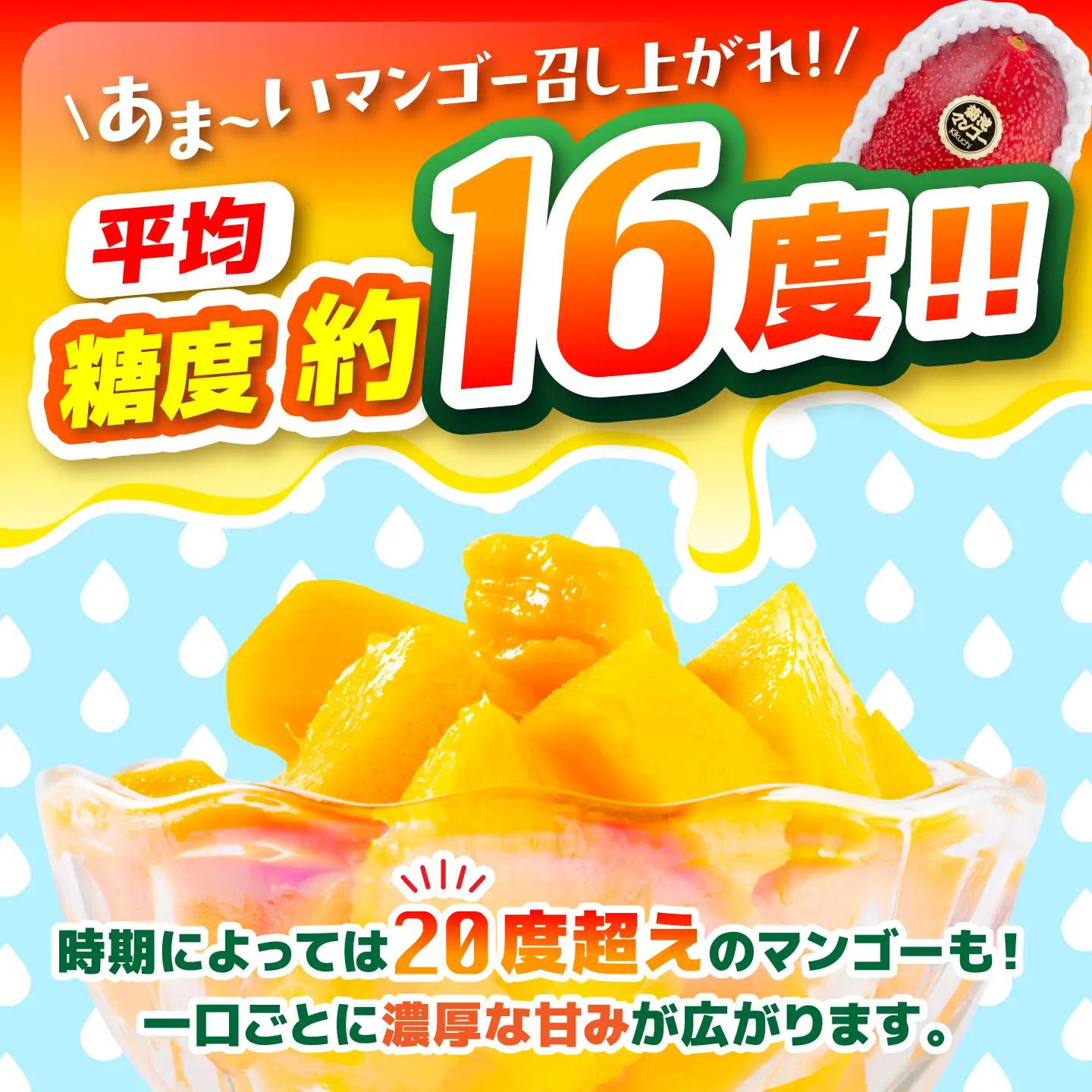 【2026年6月上旬から順次発送】秀品 菊池マンゴー2玉 4Lサイズ 友枝マンゴー農園[AYDF006]