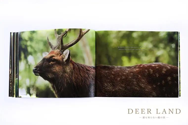 奈良の鹿 写真集「DEER LAND 誰も知らない鹿の国」 2作目 オールカラー サイン入り KAZUTO PHOTO OFFICE 佐藤和斗 I-192