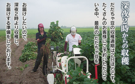 【令和6年産先行予約】 富樫農園の朝採りだだちゃ豆【8月下旬発送】900g（300g×3袋）晩生甘露・おうら　X05-003