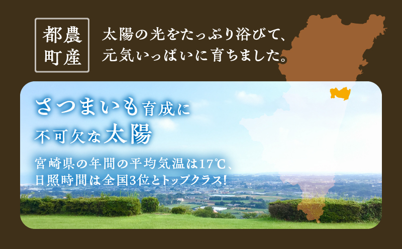 先行予約≪期間限定≫都農町産安納芋(計5kg) 野菜 芋 イモ 国産_T016-0011