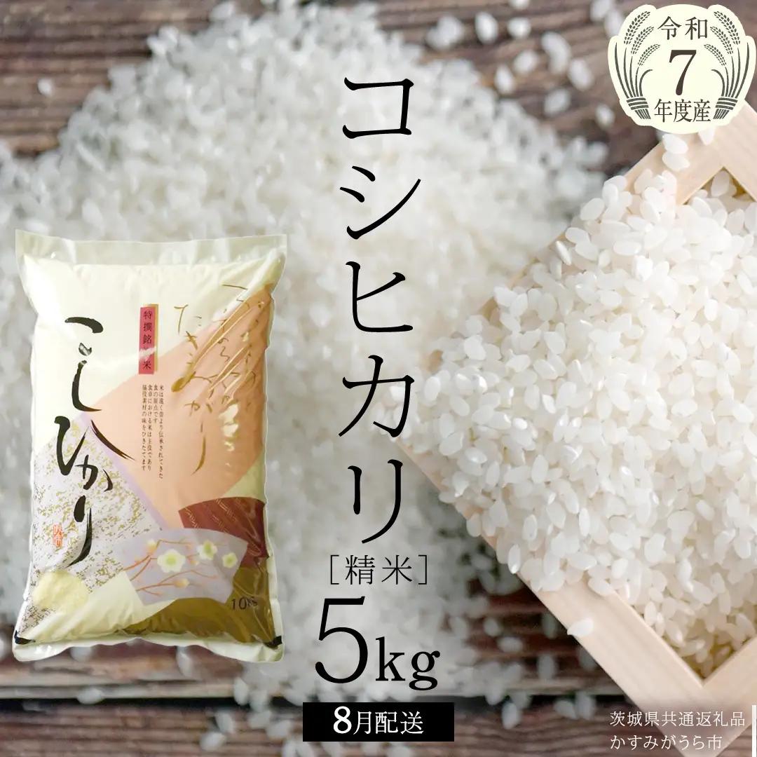 ＼ 8月出荷 ／【令和7年産】コシヒカリ 精米5kg（5kg×1袋）（茨城県共通返礼品 かすみがうら市産） 米 ごはん もっちり 甘い コメ お米 白米 銘柄米 [EX010sa-08]