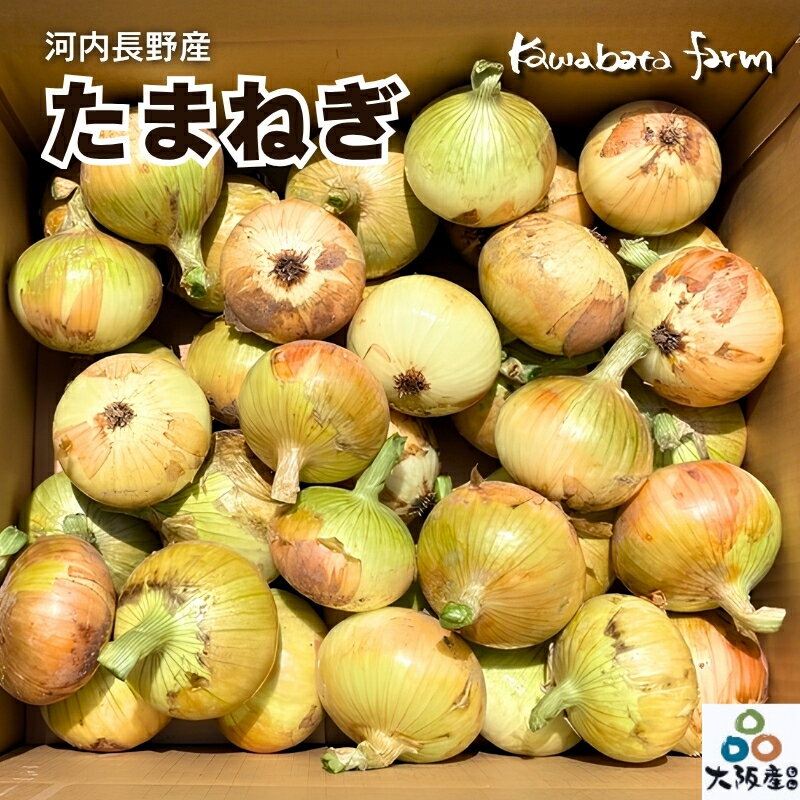 【ふるさと納税】【令和8年度産玉ねぎ先行予約】玉ねぎ 選べる容量 2kg×2箱 または10kg×1箱 ※6月より発送予定 ｜ 混サイズ 玉ねぎ たまねぎ タマネギ 玉葱 カレー シチュー 肉じゃが スープ サラダ 人気 大阪 河内長野 kawabata farm 料理 送料無料 先行予約 国産