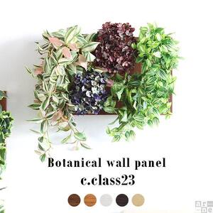 Botanical c.class 23　ダークブラウン
