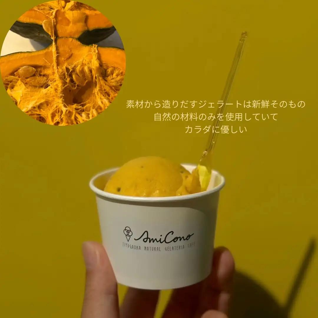 ジェラート 季節の天然素材 AmiCono 8種8個セット スイーツ アイス デザート お菓子 ギフト 贈答_0097-001-se7