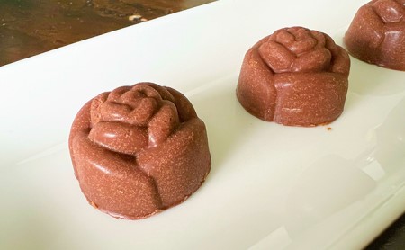 田上産 栽培期間中無農薬ブルーベリーで作るチョコレート 5個入×3セット スイーツ お菓子 新潟県田上町