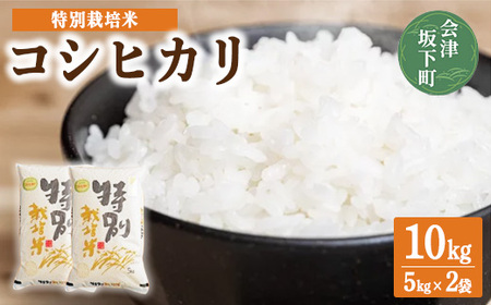 3-C　コシヒカリ 白米 会津 5kg 2袋 計10kg 令和7年産米 ｜ 減農薬 特別栽培米 米 お米 藤川農産 ※2025年10月上旬頃より順次発送予定
