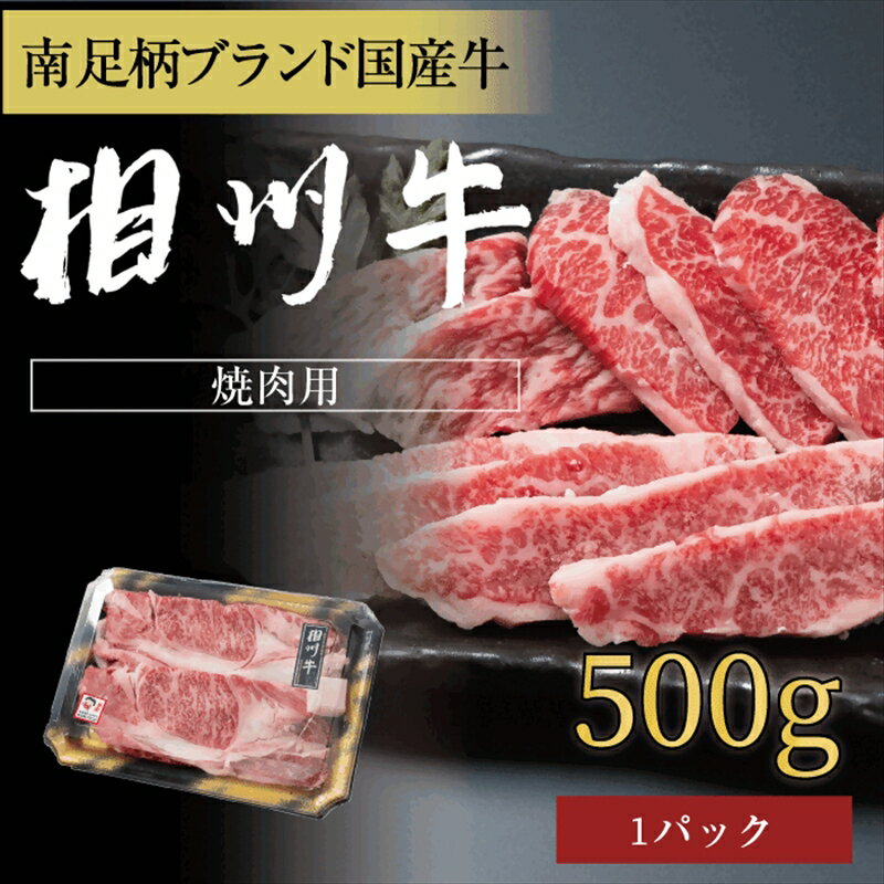 【ふるさと納税】相州牛 焼肉・網焼き用カルビ　500g（厚切り）【 牛肉 お肉 ブランド牛 神奈川県 南足柄市 】