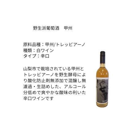 ふるさと納税 山梨市 東晨洋酒 野生派葡萄酒 甲州 無添加ワイン |  | 01