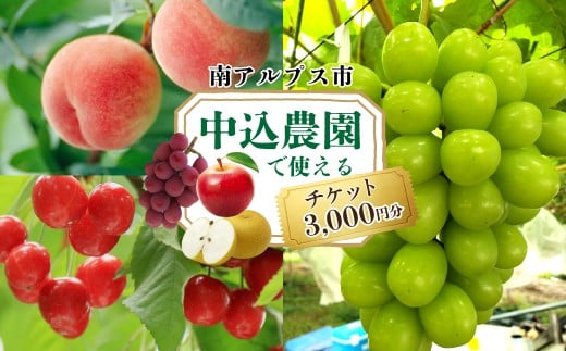 中込農園 クーポン券 3,000円 ALPFT001