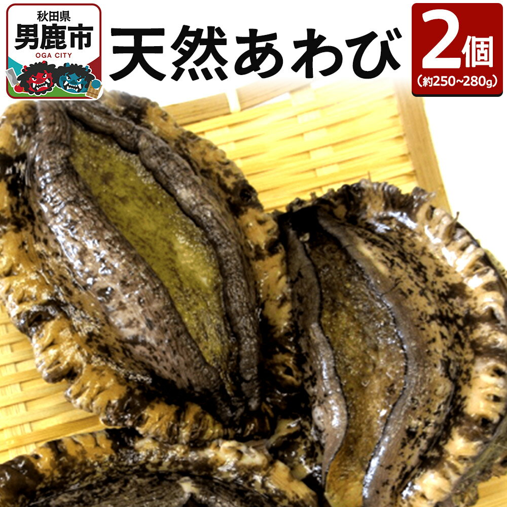 【ふるさと納税】《7月下旬より出荷》男鹿産天然鮑 2個 (約250〜280g) あわび アワビ 秋田 男鹿産