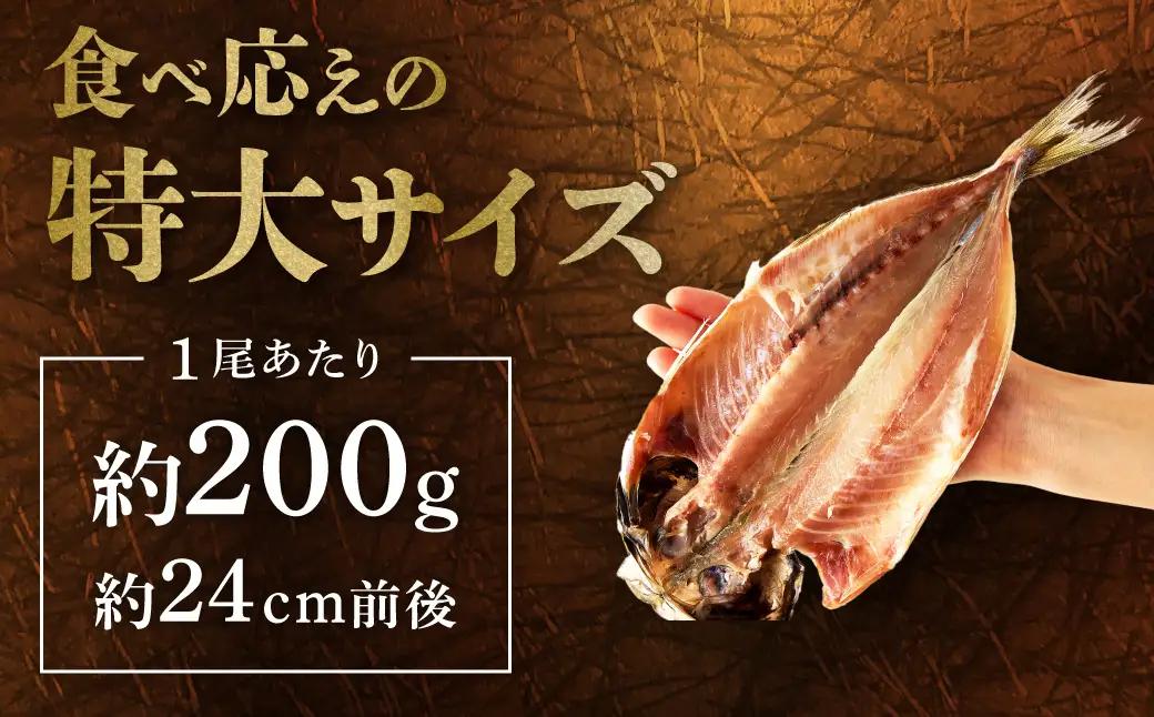 浜田市のブランド「どんちっちアジ」干物特大（200gサイズ）5枚 個包装 魚介類 干物 干もの 開き あじ 厳選 海鮮 セット 個包装 【019_1952】
