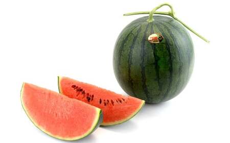 【先行予約】小玉スイカ ひとりじめ 約5～6kg（2玉）くだもの 果物 フルーツ すいか 西瓜【2025年5月上旬-8月上旬迄発送予定】