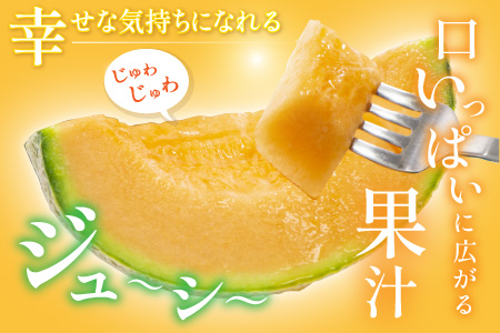 【先行予約】マルセイユメロン 2玉 (2L以上のサイズ) 糖度15度以上 減農薬にこだわった新鮮で安心な川合農園のメロン 【2026年6月中旬以降発送予定】【メロン めろん フルーツ 旬 デザート 果