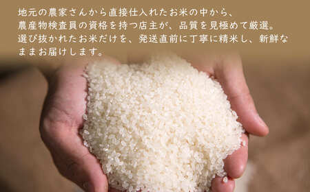 【令和7年産】 境町 白米 「コシヒカリ」 10kg(10kg×1袋) 数量限定 S277