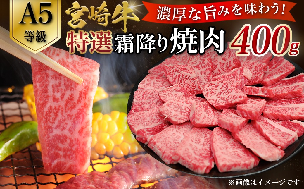 【A5等級】宮崎牛特選霜降り焼肉 （400g×1P） 宮崎牛 ブランド牛 和牛 牛肉 焼肉 特選和牛 霜降り A5 宮崎県 小林市