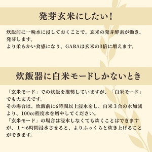 熟成玄米ご飯(酵素玄米) 手作りセット 3合pac×4個 | 新潟県