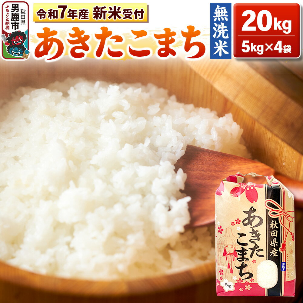 【ふるさと納税】《令和7年産 新米先行受付中》【無洗米】秋田県産 あきたこまち 20kg（5kg×4袋）秋田県 男鹿市 こまちライン