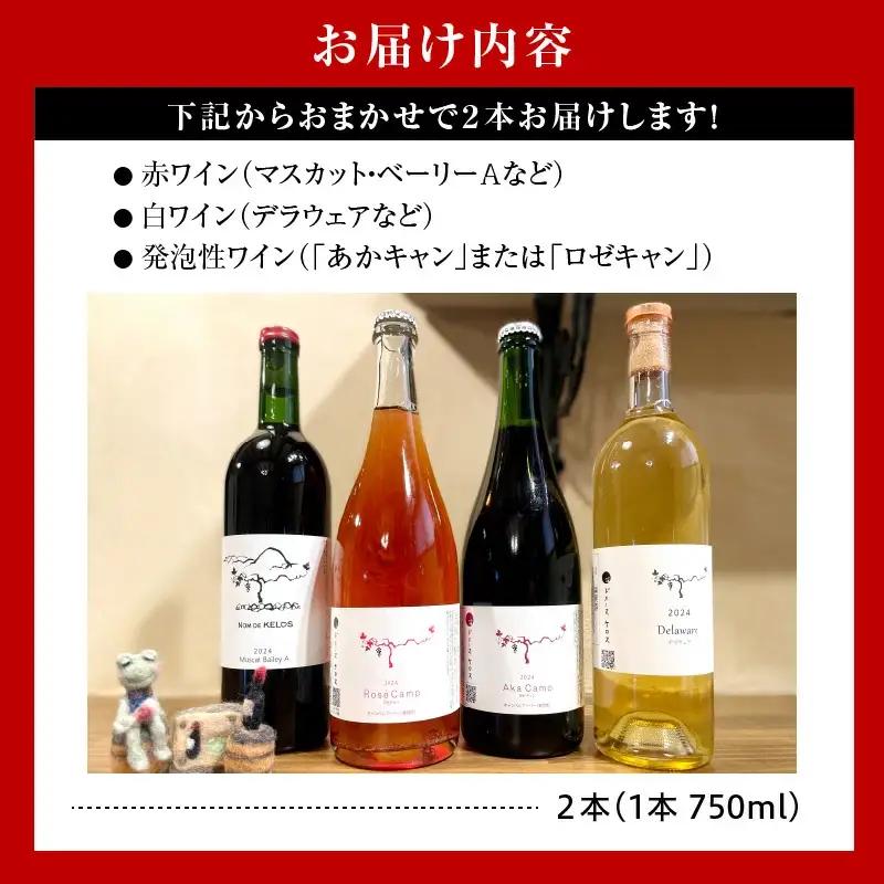 【数量限定】お楽しみ ワイン 2本 セット ワイン