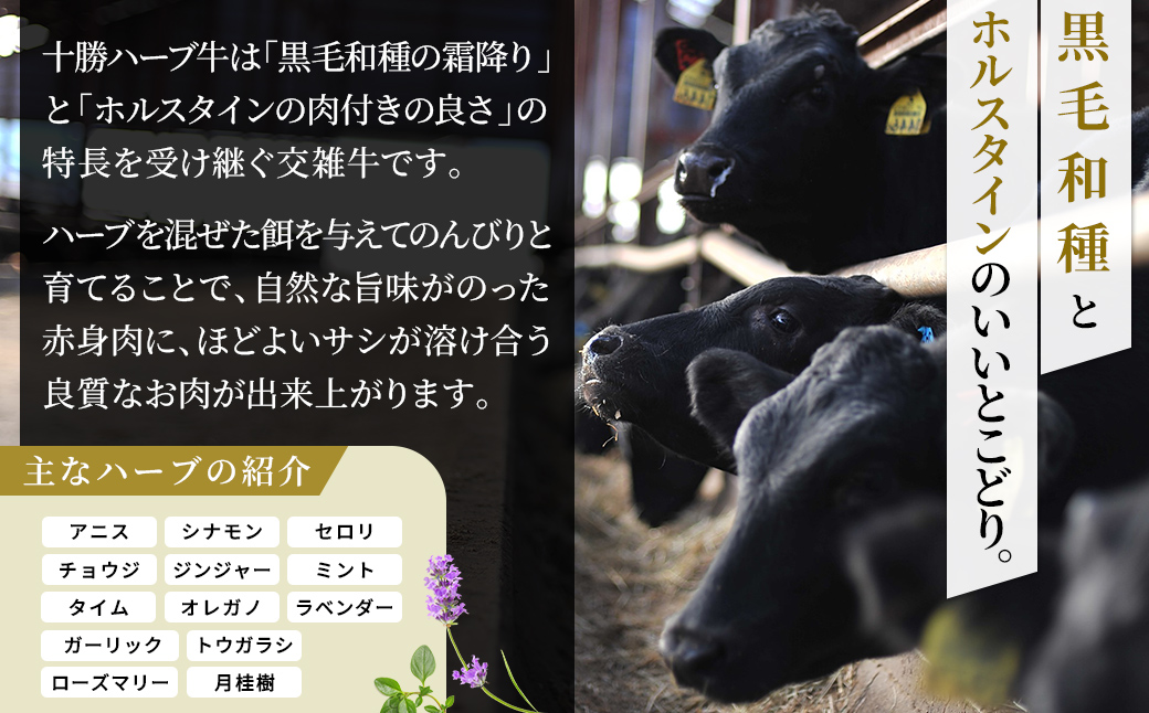 十勝ハーブ牛 サーロイン モモ ステーキ セット 計700g 国産 北海道 牛 肉 牛肉 国産牛 赤身 真空パック キャンプ アウトドア バーベキュー BBQ 冷凍