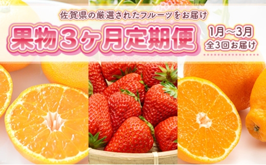 定期便3ヶ月 旬の果物 定期便 3回  果物 フルーツ デザート 2027年1月から順次発送 ※配送不可:離島