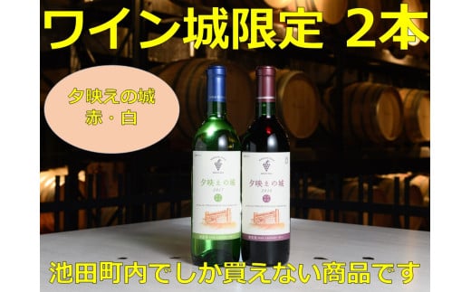  十勝ワイン いけだワイン城限定 2本セット（赤・白）国産ワイン 北海道ワイン 赤ワイン 白ワイン セット 夕映えの城 北海道池田町