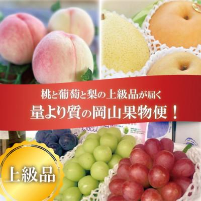 ふるさと納税 津山市 【発送月固定定期便】【2026年先行予約】岡山の桃、ぶどう、梨を産地直送!多品種を楽しむ定期便全3回