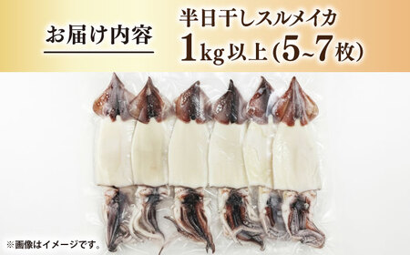 スルメイカ　半日干し 1kg以上 5～7枚《壱岐市》【馬渡水産】[JAQ029]