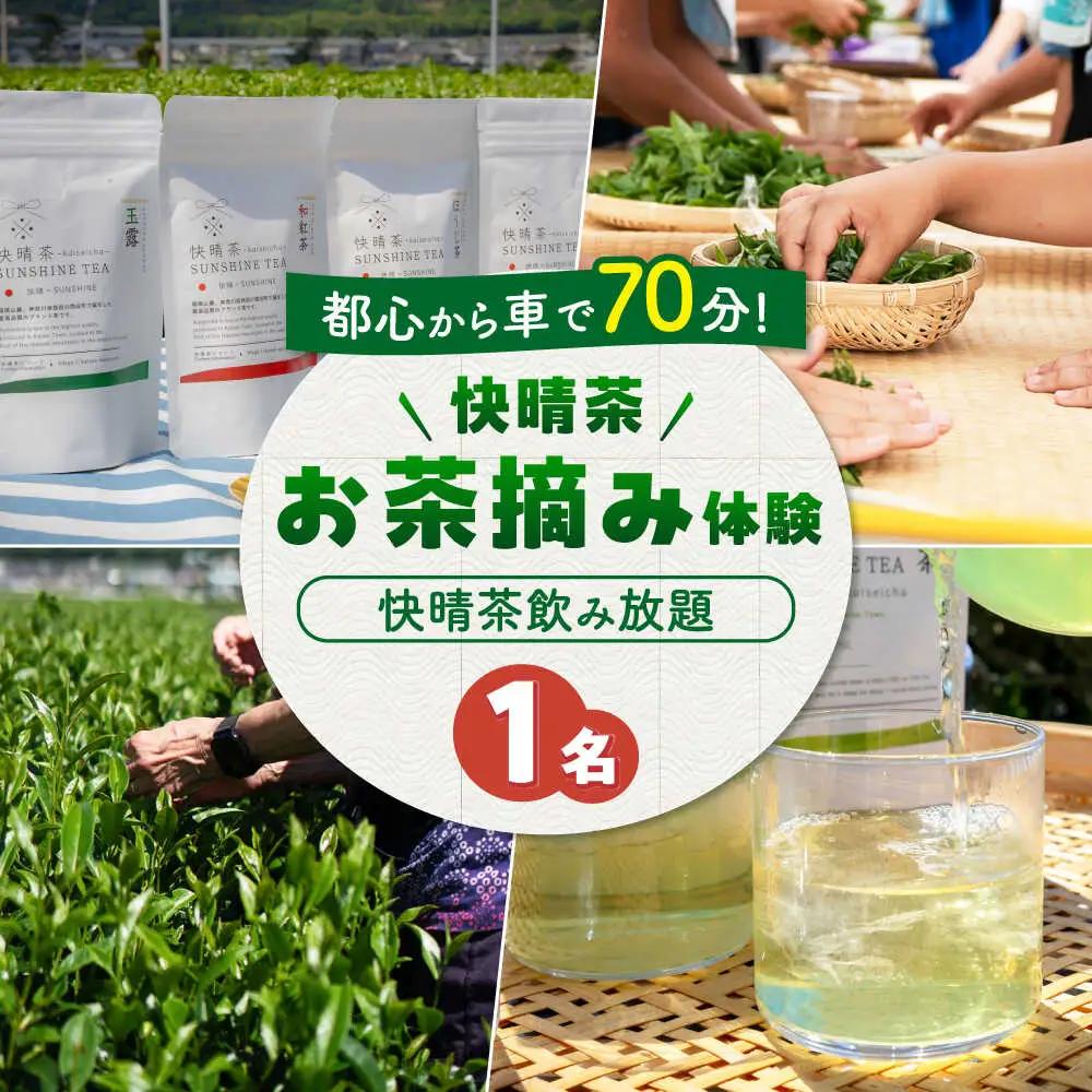 お茶摘み体験 体験チケット【ランチなし】[BDAT007]
