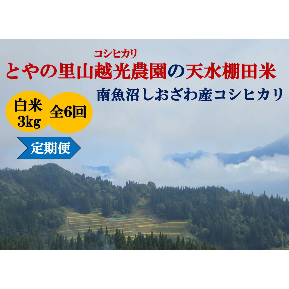 【ふるさと納税】定期便「とやの里山継承プロジェクト対象」【天水棚田米】南魚沼塩沢産コシヒカリ　精米3kg全6回