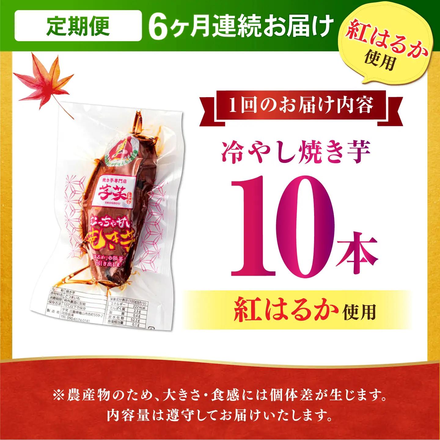6回定期便 紅はるか 冷やし焼き芋 10本入 AMBU009 焼き芋 さつまいも 冷蔵