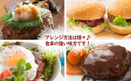 塩でもいけるこだわりの黒毛和牛100％ビーフハンバーグ　120ｇ×5個　ピンク岩塩付 MA11 