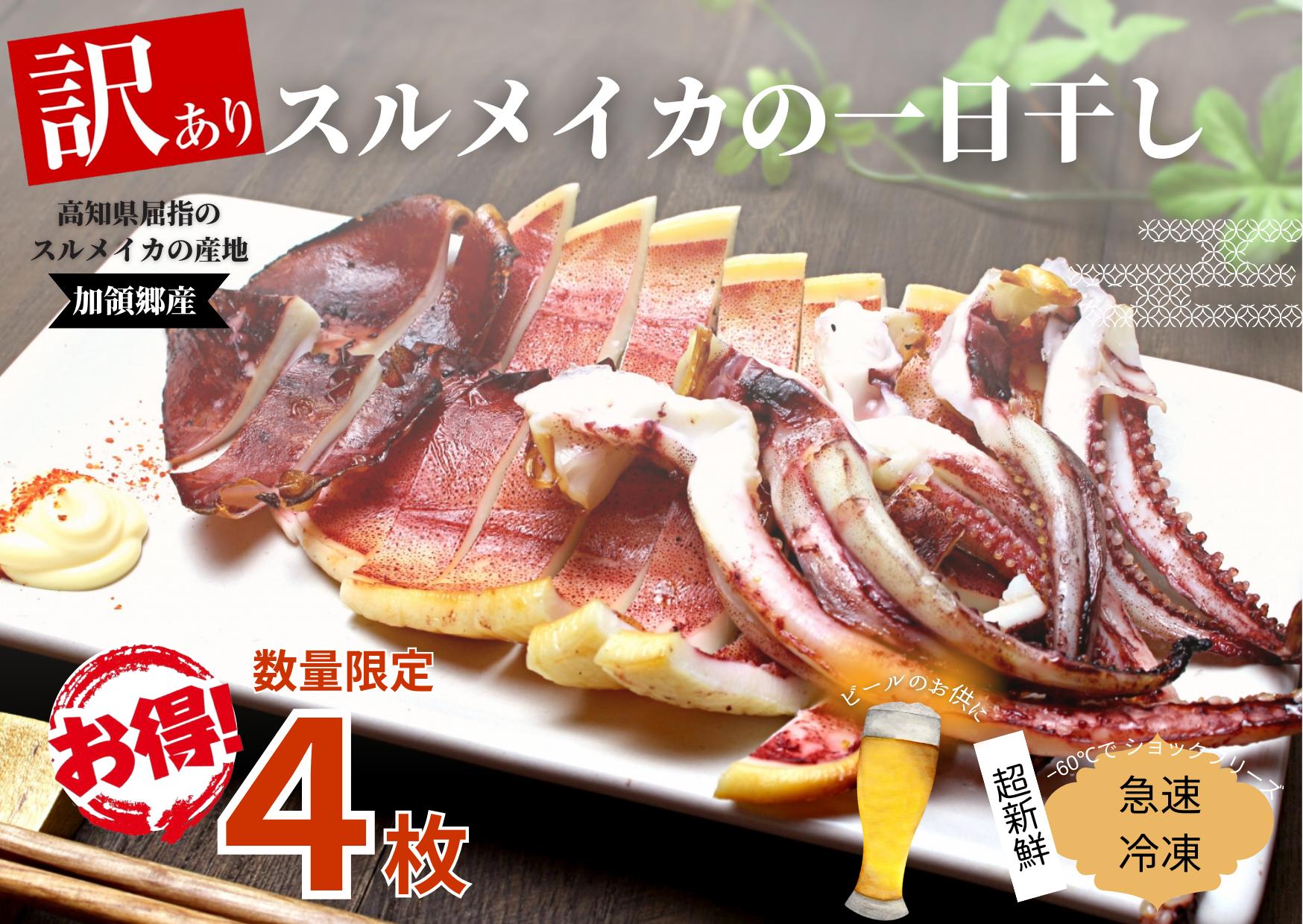
【四国一小さなまち】《カネアリ水産》数量限定★訳あり★スルメイカの一日干し　4枚入り （ 冷凍 ）
