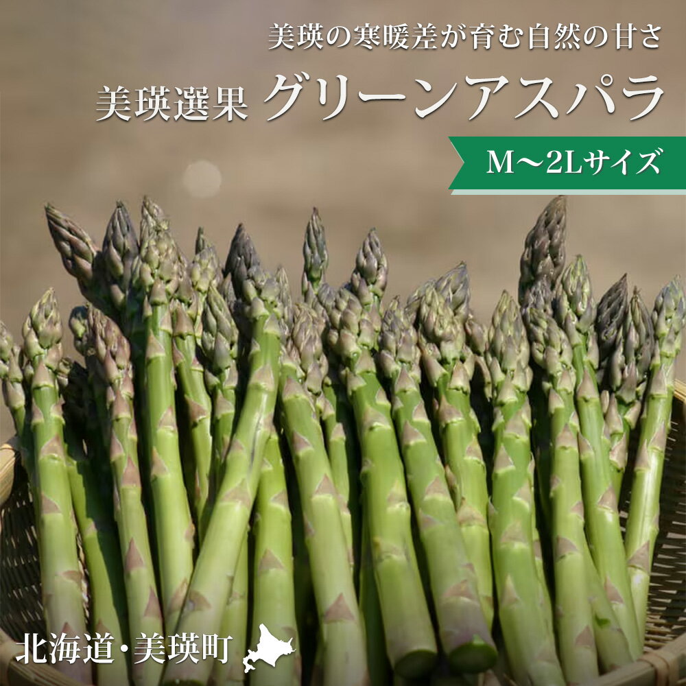【ふるさと納税】グリーンアスパラ1kg 2kg【令和9年産先行予約】送料無料！M〜2Lサイズ 美瑛選果 グリーン アスパラガス アスパラ あすぱら あすぱらがす 採れたて 新鮮 旬 産地直送 野菜