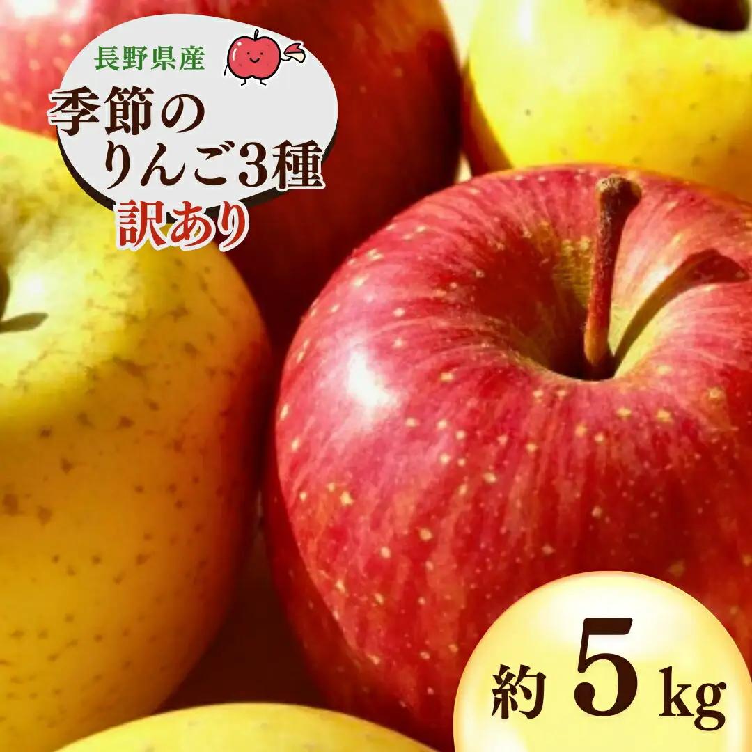 【2026年先行予約】千曲市産りんご 季節のりんご3種 約5kg 訳あり 家庭用 | りんご