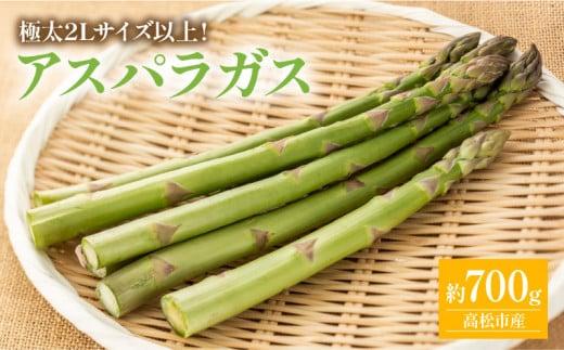 期間限定企画 極太2Lサイズ以上! アスパラガス 約700g【2026-3月上旬～2026-4月下旬配送】 372013_T006-301J